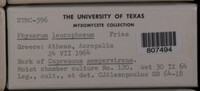 Image Associated With the Occurence